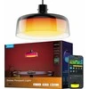 Govee Pendant light RGBICWW išmanusis pakabinamas šviestuvas, Matter (H60C1)