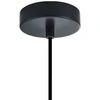 Pakabinamas šviestuvas Lampa wisząca Italux Narisa PND-74839-1-GD-SG Złota