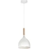 Luminex „Noak Wood E365b“ pakabinamas šviestuvas, 1x60W, E27, 1194, baltai ruda spalva