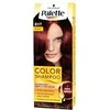 Dažomasis plaukų šampūnas Schwarzkopf Palette Color, 217 Mahagoni