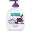 Palmolive Naturals Orchid &amp; Milk Handwash kreminis skystas muilas