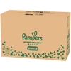 Pampers Premium Care Sauskelnės-Kelnaitės, 3 Dydžio, 152 vnt.