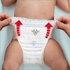 Sauskelnės-kelnaitės Pampers Pants, 7 dydis, 17+ kg, 80 vnt.
