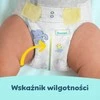 Sauskelnės Pampers Premium Care Tape, 6 dydis, 13–18 kg, 128 vnt.
