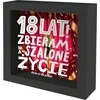 Pan Dragon Šeimininkas - 18 / 2