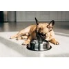 PAN MIĘSKO Veršiena su ėriena Senior Crunchy M - Sausas šunų maistas - 9kg