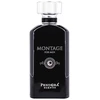 Pandora Scents Pendora Scents Montage For Men kvepalai vyrams, 100 ml