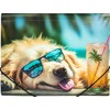 Panta Plast Aplankas su guma A4 CHILLOUT DOG