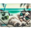 Panta Plast Aplankas su guma A4 CHILLOUT CAT