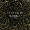 Paper Tea Leaf Liturgy Lapų liturgija - Amžinoji saulė - biri arbata BIO 60 g