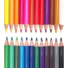 Papermate Kreidelės Paper Mate 24 spalvos - 2166489