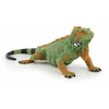 Papo Iguanos figūrėlė