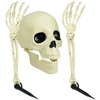 Party Deco Nežinomas SODO DEKORACIJOS SKELETAS, 3 DALYS