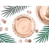 Party Deco Popierinės lėkštutės rausvos blizgios 6 vnt