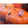 Party Deco Voratinklis „Halloween“, baltas, 60 g