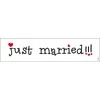 Party Deco Automobilio numeris JUST MARRIED