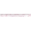 Party Deco PartyDeco Konfeti patranka „Rožės žiedlapiai“ 40cm - balta