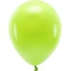 PartyDeco Eco balionai 10 vnt 30cm salotiniai