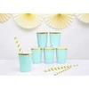 PartyDeco Vienkartiniai puodeliai žalsvai melsvi 220ml 6 vnt