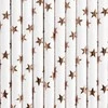 Party Deco Popieriniai šiaudeliai balti su rausvai auksinėm žvaigždėm