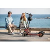 Paspirtukas elektrinė Segway D38E