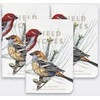 Field Notes Pastabos Šiaurės Amerikos paukščiai ir medžiai
