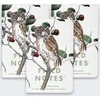 Field Notes Pastabos Šiaurės Amerikos paukščiai ir medžiai