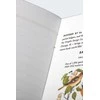 Field Notes Pastabos Šiaurės Amerikos paukščiai ir medžiai