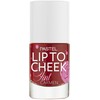 Pastel PASTEL „Lip To Cheek“ – lūpų ir skruostų dažai nr 01 Carmen 1 vnt.