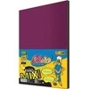 Pastello Xerox popierius A4 80g spalvų derinys 100 lakštų