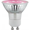 Paulmann LED Plant GU10 pro-growth šviesos šaltinis 3,5W 95lm 1100K 230V stiklas