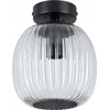 Paulmann lubinis šviestuvas RUYA vonios lubų šviestuvas E14 max 20W IP44 230V matinis juodas / stiklas