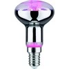Paulmann LED šaltinis Plant R50 E14 6.5W 230V pro augimą