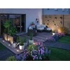 Paulmann Plug &amp; Shine FLOOR SH Zigbee RGBW 4.6W IP65 RGBW 24V įžeminimo lempa juoda / metalinė