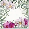Serwetki Orchid 33 x 33 cm 20 vnt. PAW