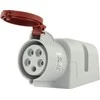 Oem Pawbol Fiksuotas lizdas 32A 5P 400V IP44 B.1038