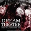 Vinilinė plokštelė Pearl Hunters Records „Dream Theater“ Miršta Norėdamas Gyventi Už... - Vinilo Įrašas