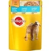 Konservas jauniems šunims Pedigree, su vištiena, 100 gr