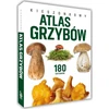 Peggy Diggledey kišeninis grybų atlasas