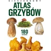 Peggy Diggledey kišeninis grybų atlasas