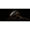 Pelė Myszka žaidimams Keychron G3-Z1 3950 8K Juodas Carbon Fiber belaidė 30000 dpi optinė juoda
