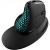 Belaidė ergonominė pelė Delux M618XSD BT+2.4G RGB
