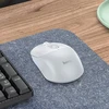Belaidė pelė Hoco 2,4G 1600 dpi GM28 baltas pilka