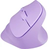 NATEC Crake 2 pelė Universal dešinei rankai RF belaidė + Bluetooth Optinė 2400 DPI