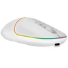PROOVE pelė Belaidė pelė Blink balta USB-C (Proove)