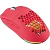 Pelė Rampage BLINK USB | 12800 DPI | RGB | optinis jutiklis | rožinė