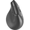 Rapoo EV310M Dunkelgrau belaidė ergonominė pelė