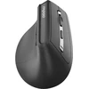 Rapoo EV310M Dunkelgrau belaidė ergonominė pelė