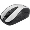 TRACER Joy II RF Nano USB Sidabrinis Pelė Wireless