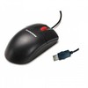Pelė IBM Optinė 3 Button Usb (41U3012)